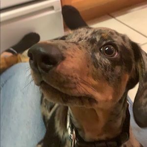 Meet your Posher, Avery